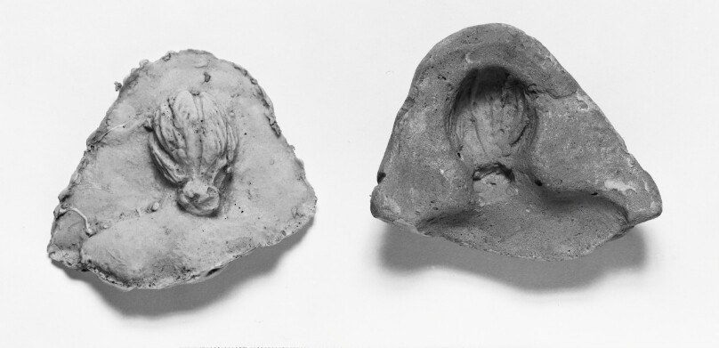 Mold Fragment