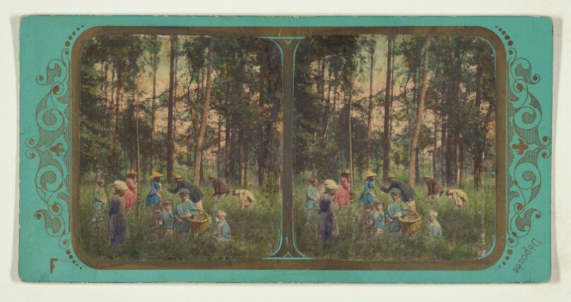 La Chasse aux Coquelicots.