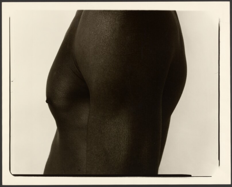 [Nude male torso]