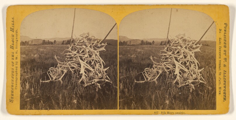 Elk Horn prairie.