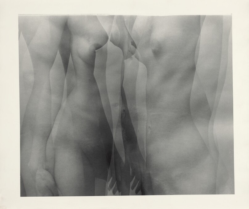 Untitled Nude Photo 5