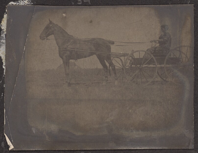 [Woman in a horse-drawn carriage]