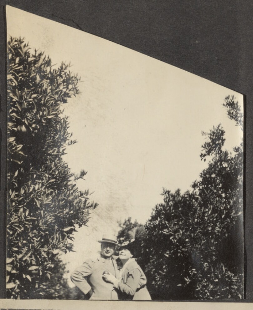 [Man and woman between trees]