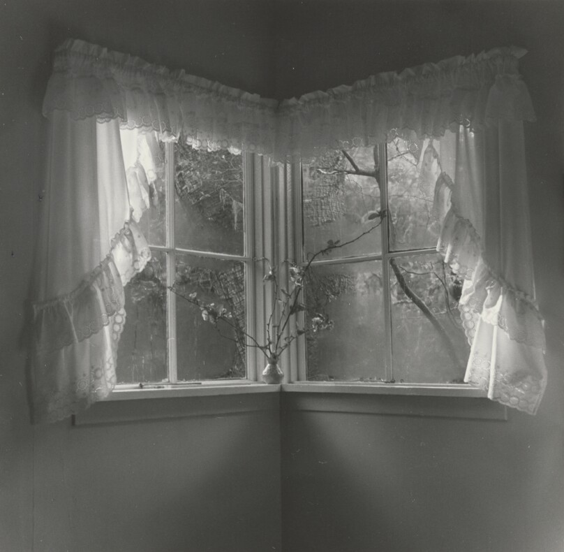 Untitled interior
