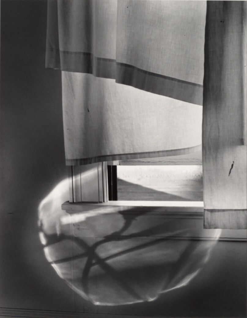 Windowsill Daydreaming, Rochester, New York