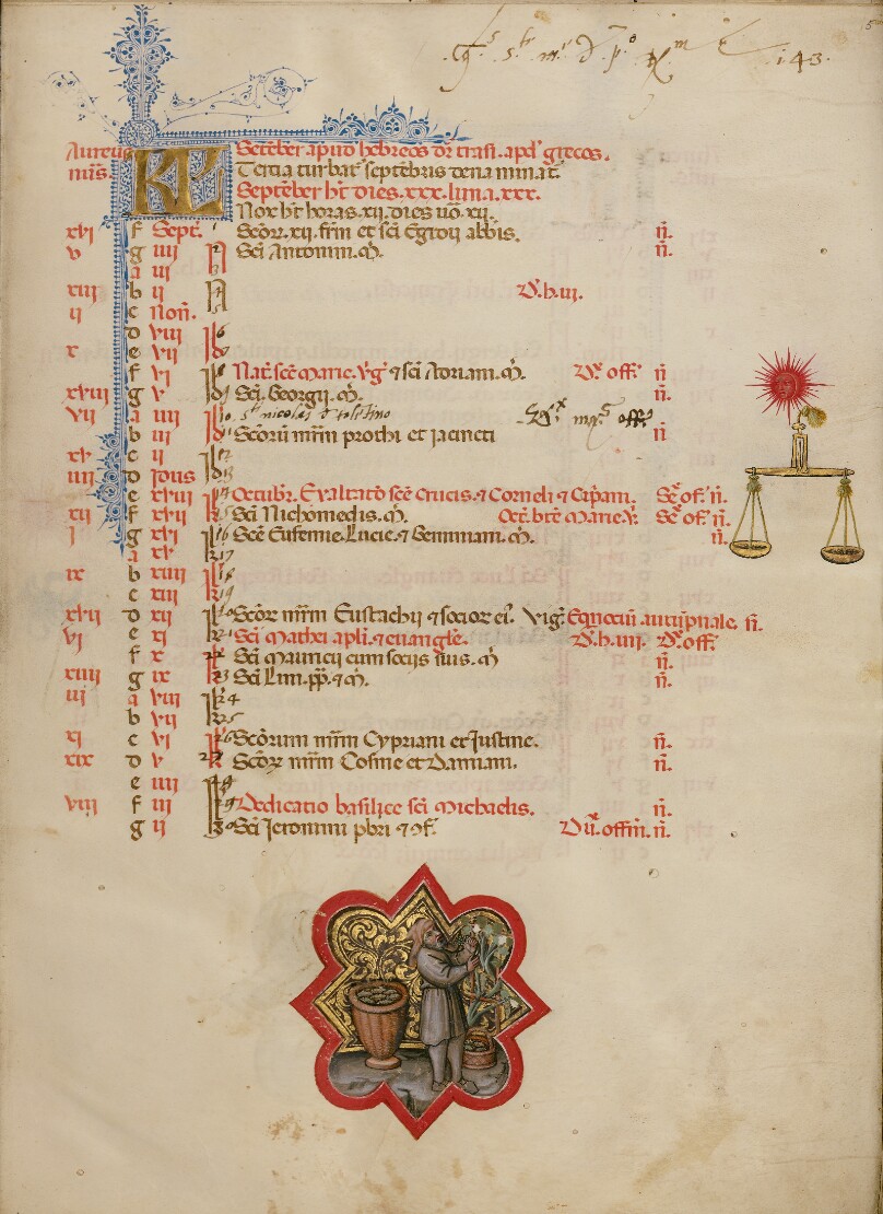 A Man Harvesting Grapes; Zodiacal Sign of Libra