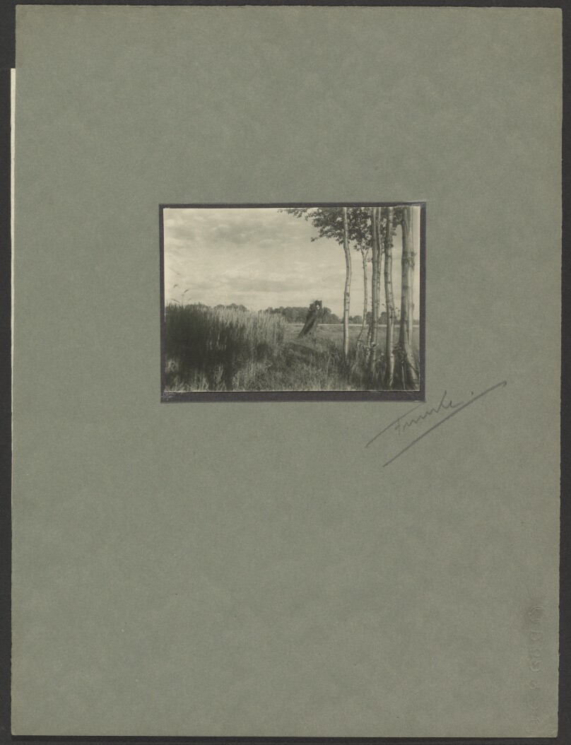 [Landscape with a Dead Tree]