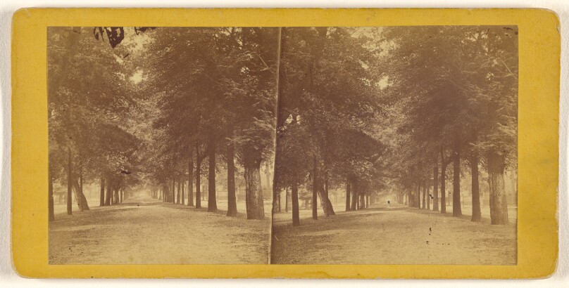 [South Broad St., Savannah, Georgia]