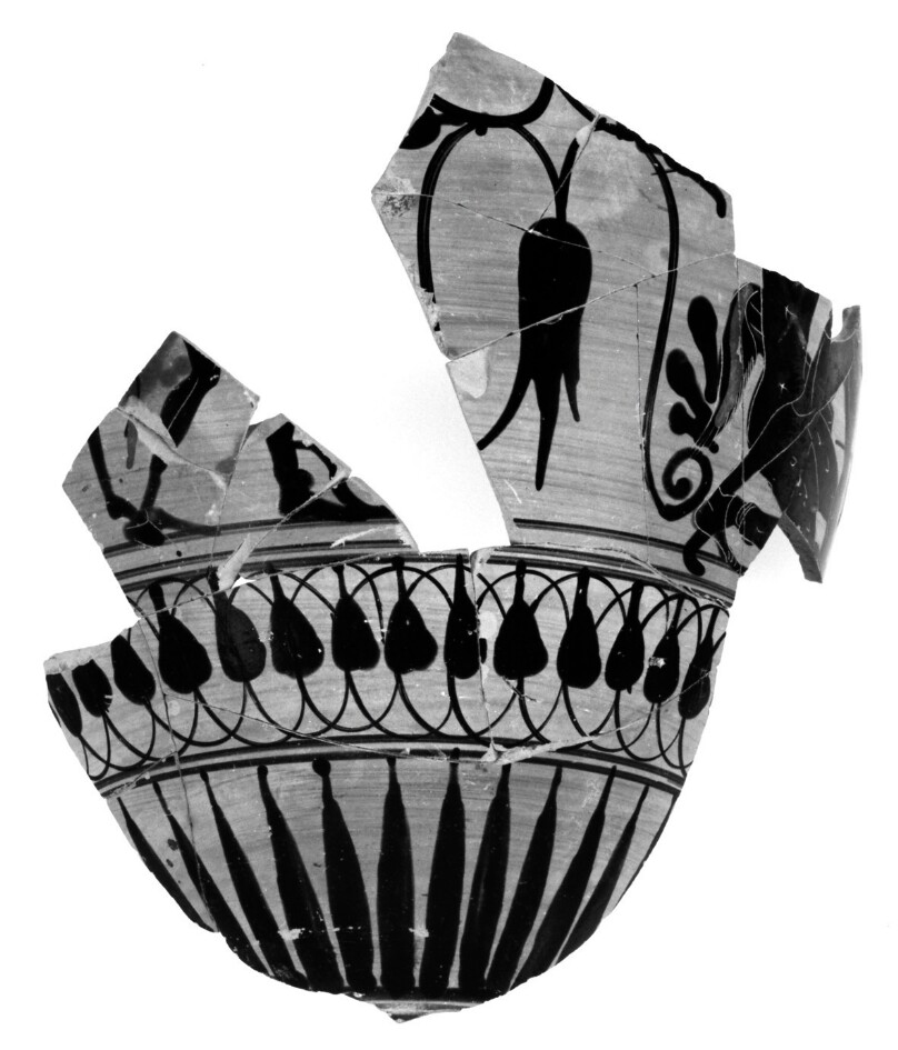 Attic Black-Figure Neck Amphora Fragment (comprised of 16 Joined Fragments)