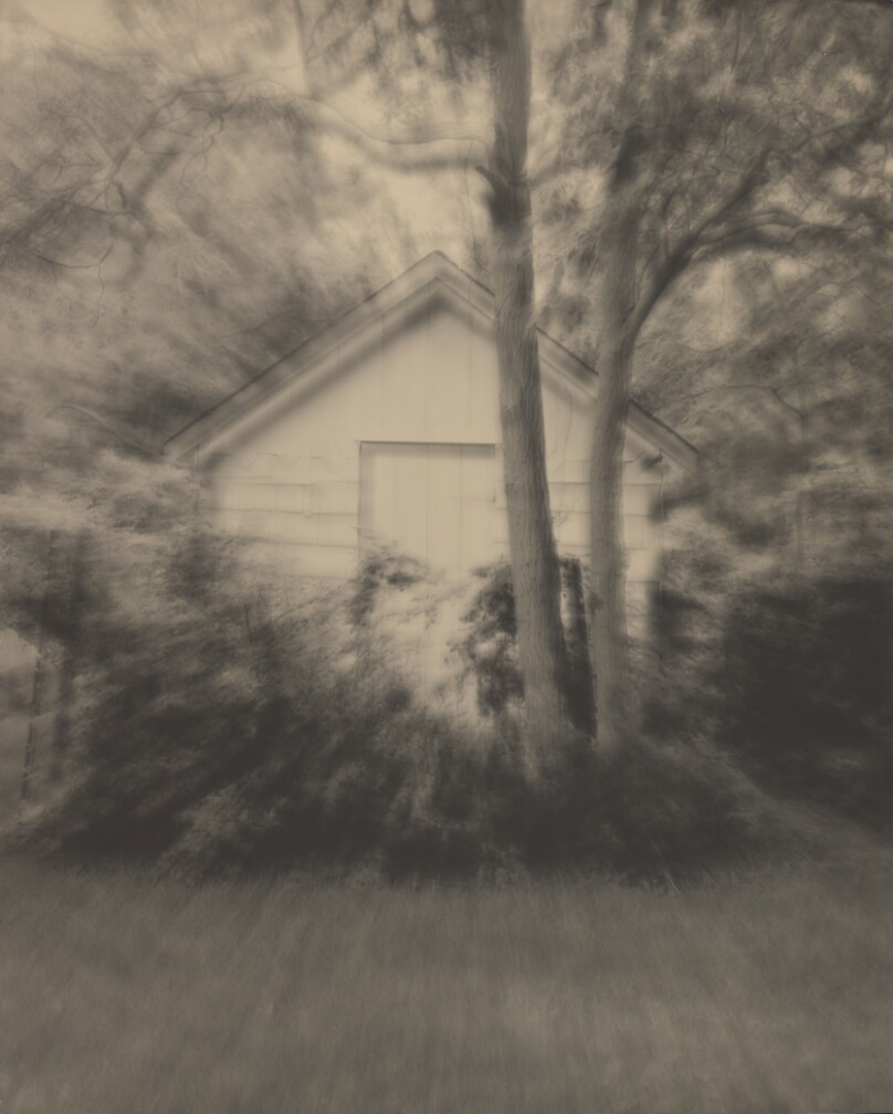 The House