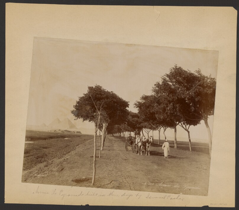 Avenue des Pyramides