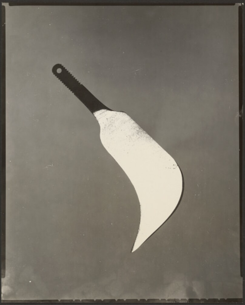 [A Bill Hook Tool]