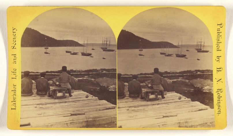 Labrador. Rigolette. View from Flag-Staff.