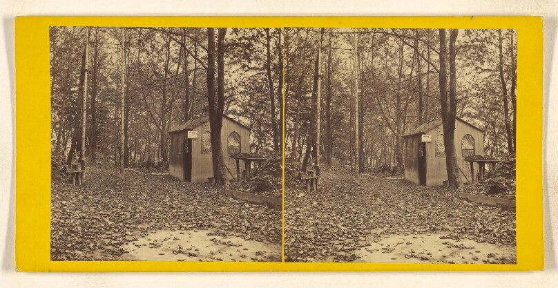 'Dead Leaves,' Castlebergh.