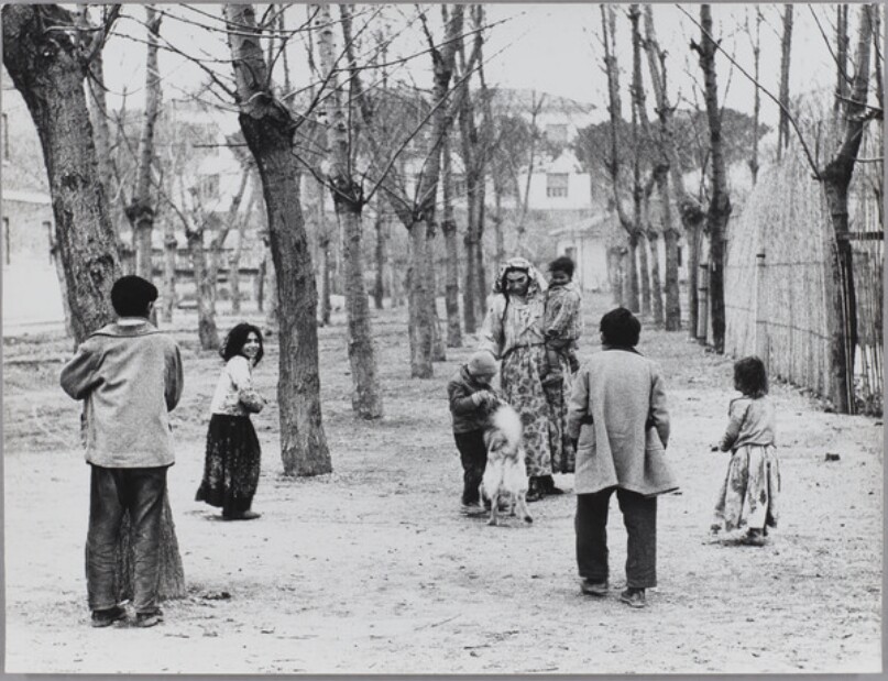 Zingari