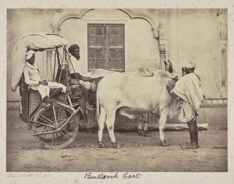 An Indian Carriage and Pair