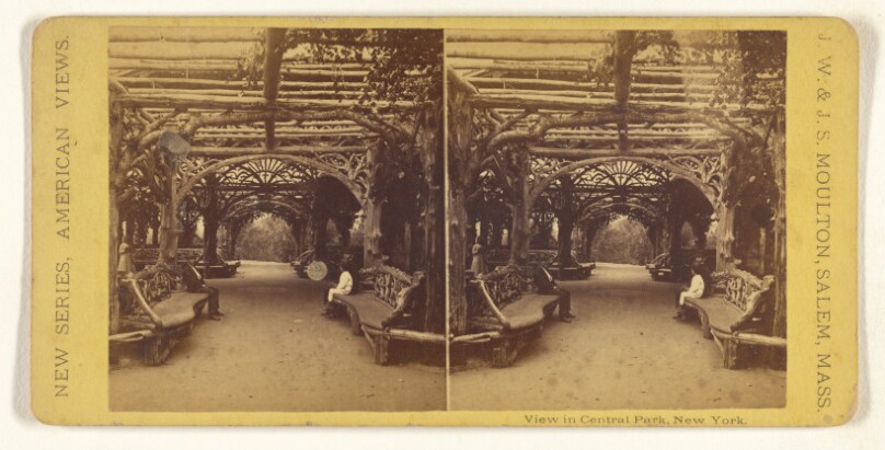 View in Central Park, New York.