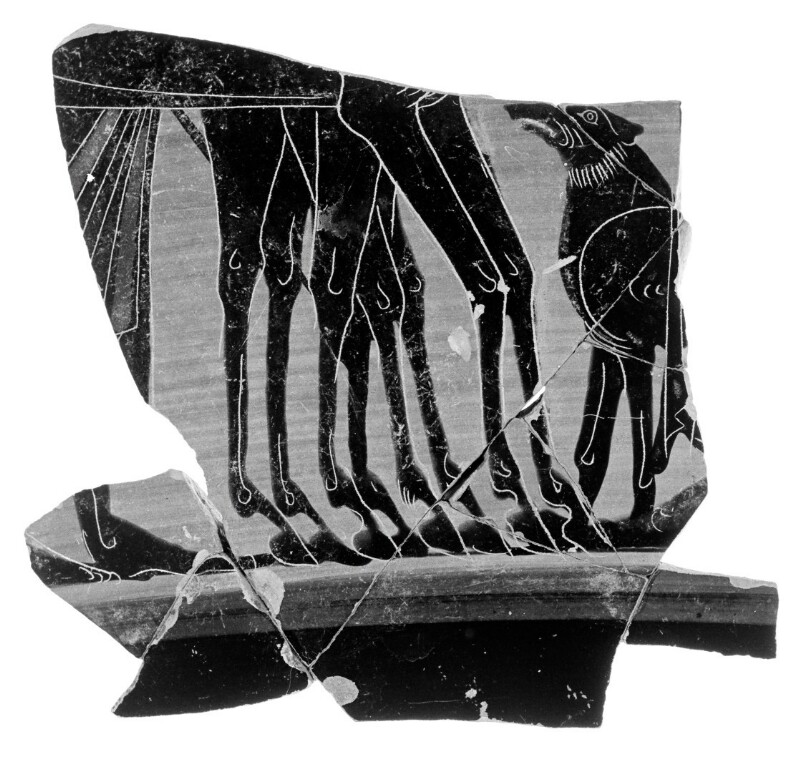 Attic Black-Figure Panel Amphora Fragment