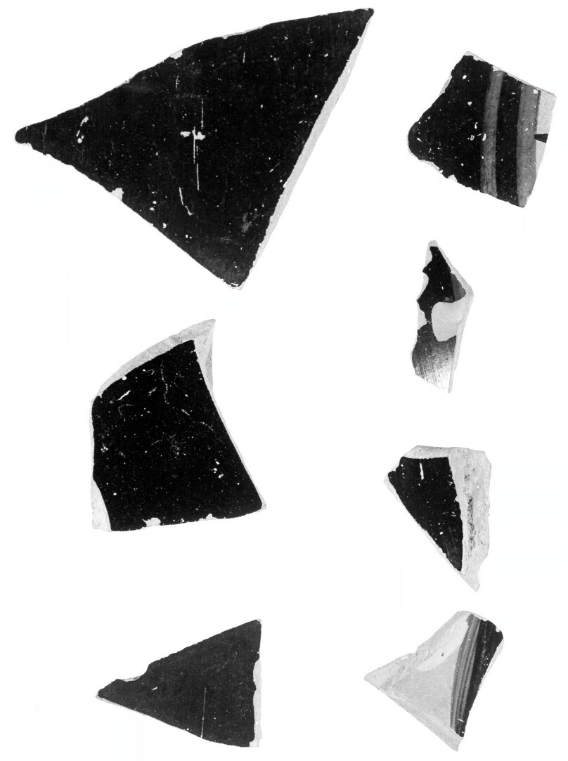 Attic Black-Figure Neck Amphora Fragment