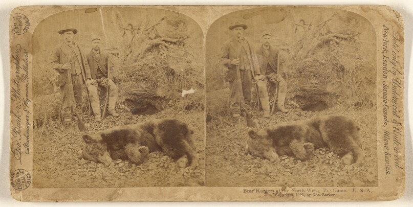 Bear Hunters of the Northwest - Big Game.