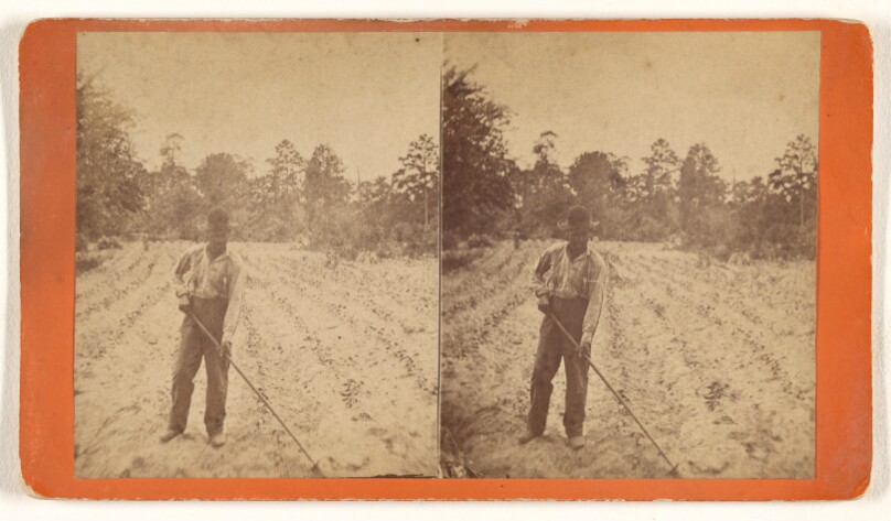 [Black farmer hoeing in field]