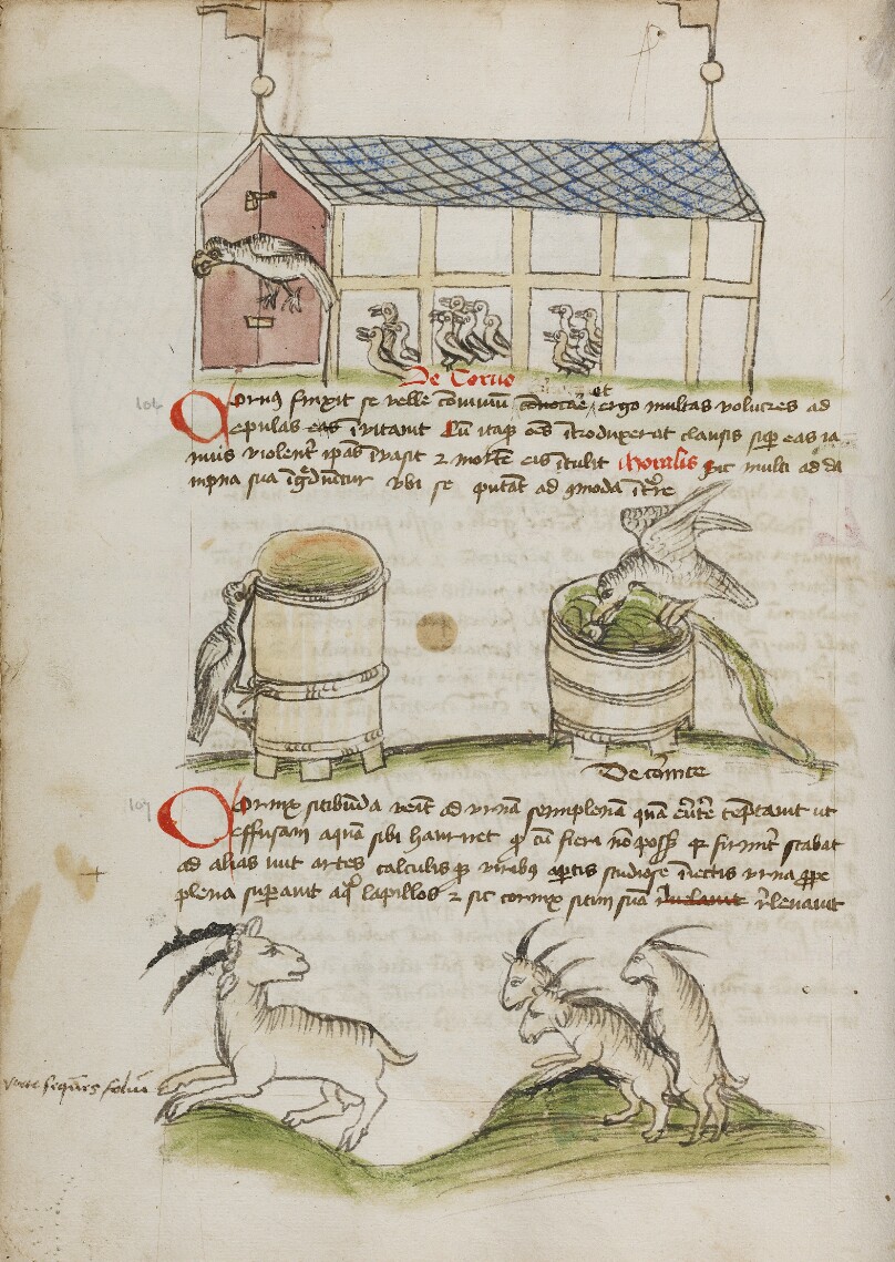 A Bird before a Door of a House with Several Small Birds; A Crow Perched on the Edge of a Vessel; Several Rams