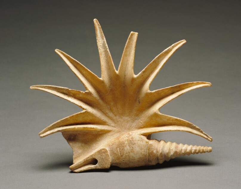 Shell