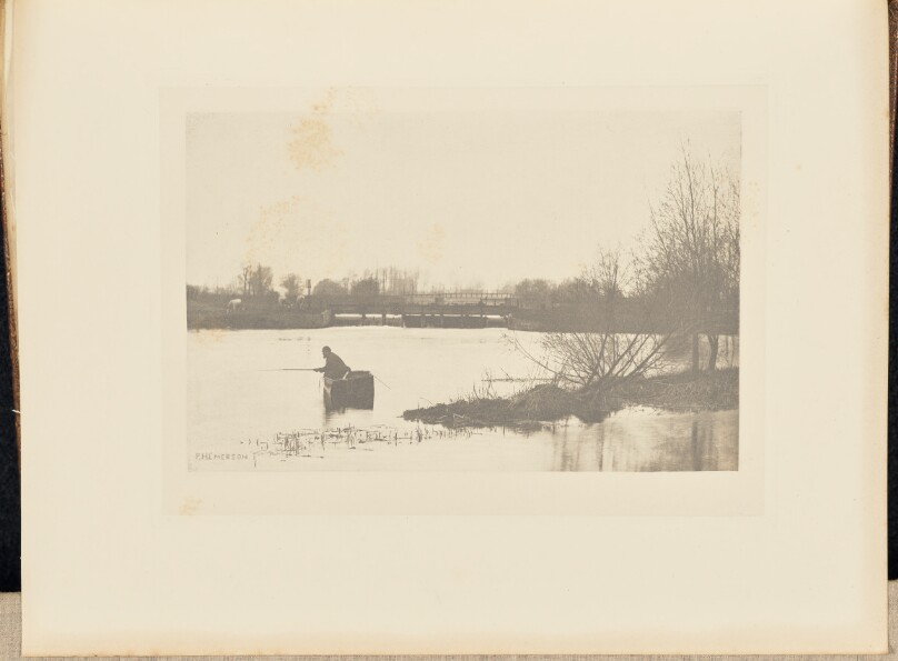 Field's Weir, Near Rye House