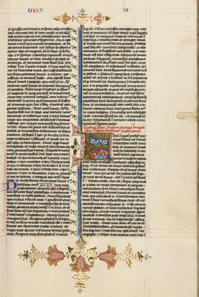 Decorated Initial F