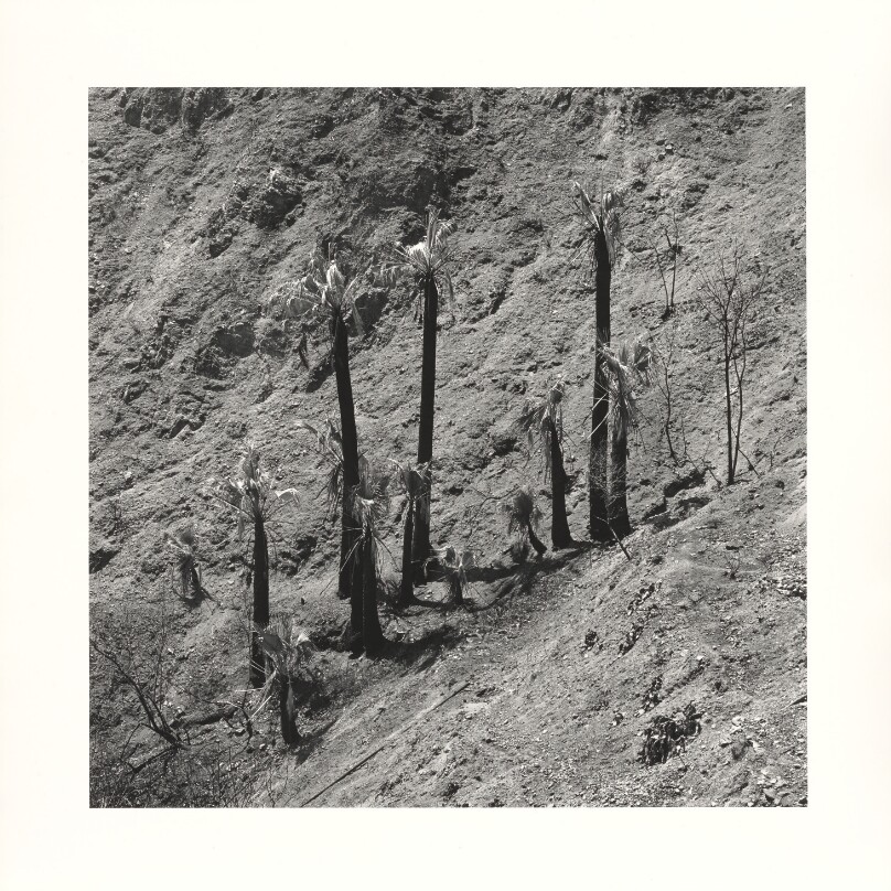 Soboba Hot Springs, California II