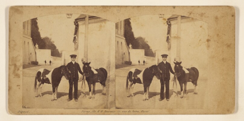 Chateau Imperial de Saint-Cloud. Ecuries de l'Empereur. Arlequin et Polichinel, Poneys de son Altesse le Prince Imperial.