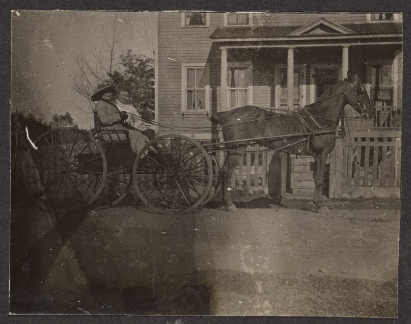 [Women in a horse-drawn carriage]