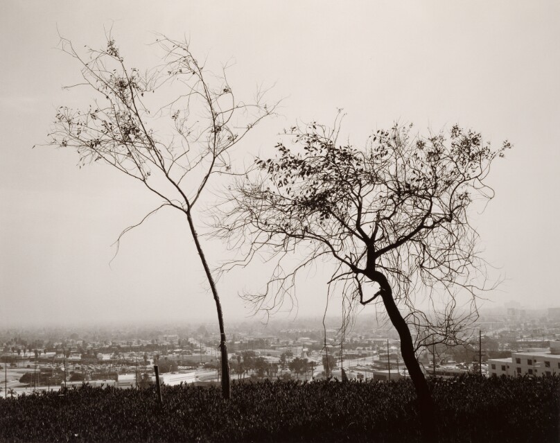 On Signal Hill, Overlooking Long Beach, California
