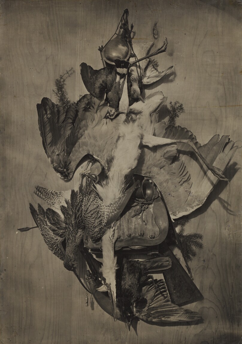 [Still life of game]