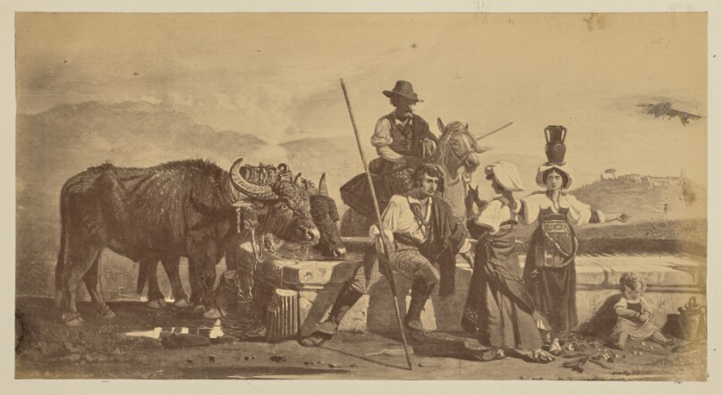 [Peasants and buffalo at rest]