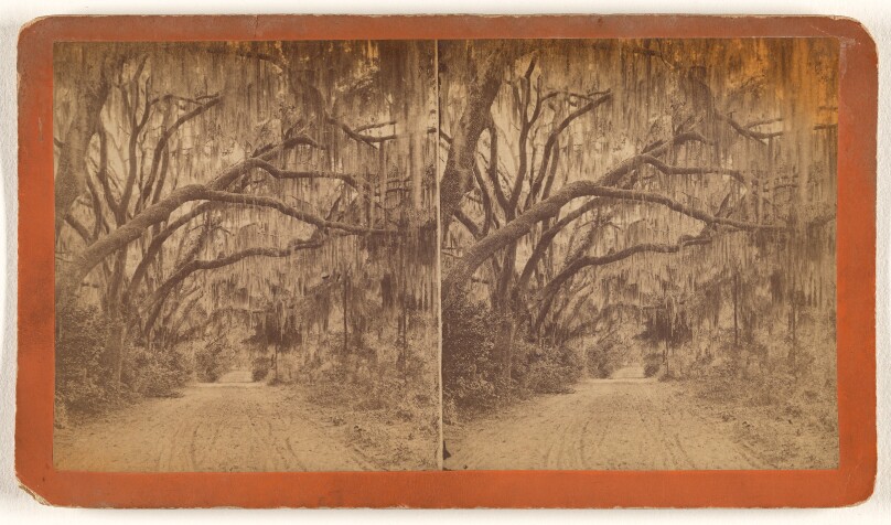 [Bonaventure, Savannah, Georgia]