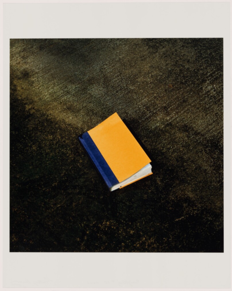Everything #15