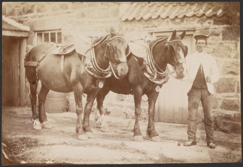 [Man with two horses]