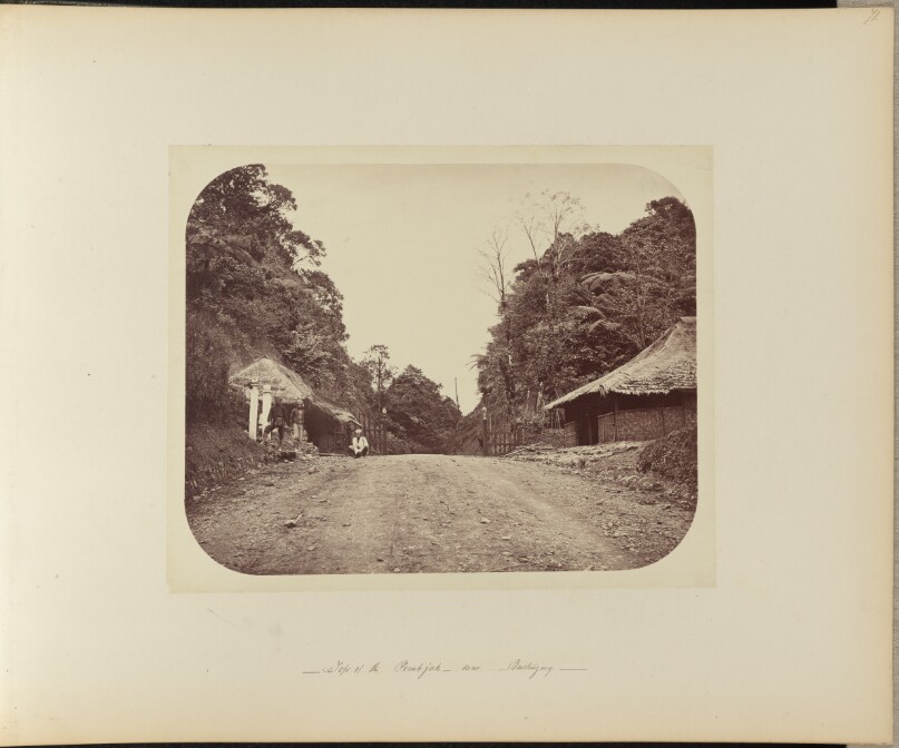 Top of the Poentjak near Buitenzorg