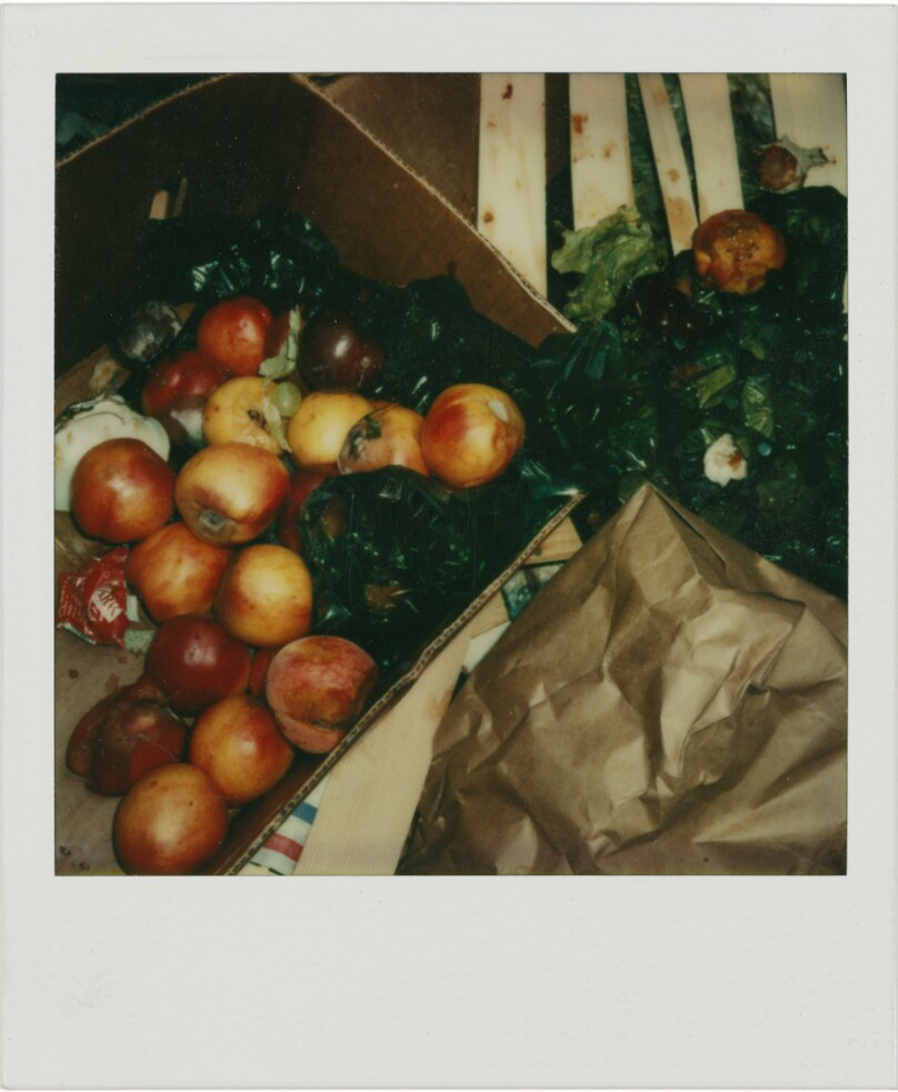 Untitled (Nectarines and Plums, Boston, MA)