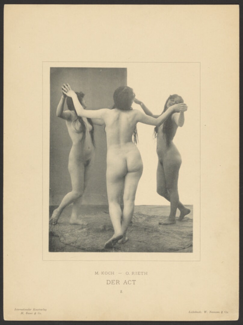[Plate 2]