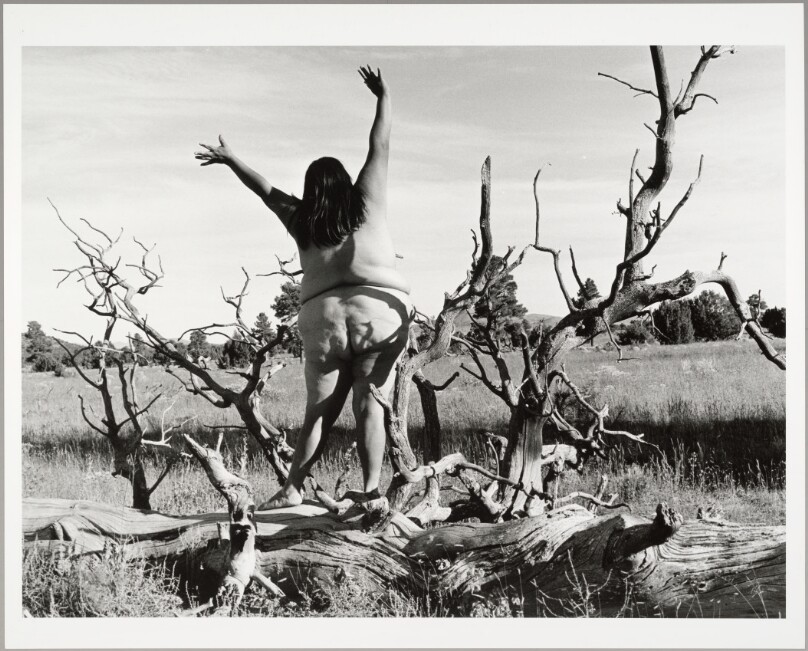 Nature Self-Portrait #5