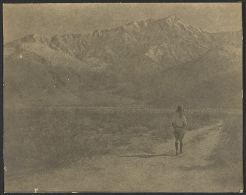[Woman Walking on Path Towards Mountains]