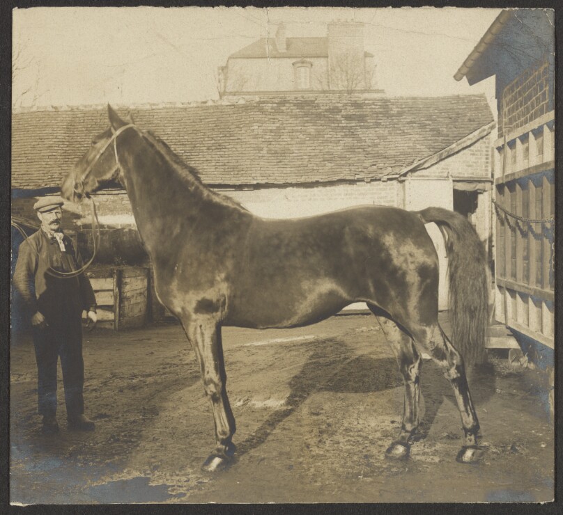 [Man and a horse]