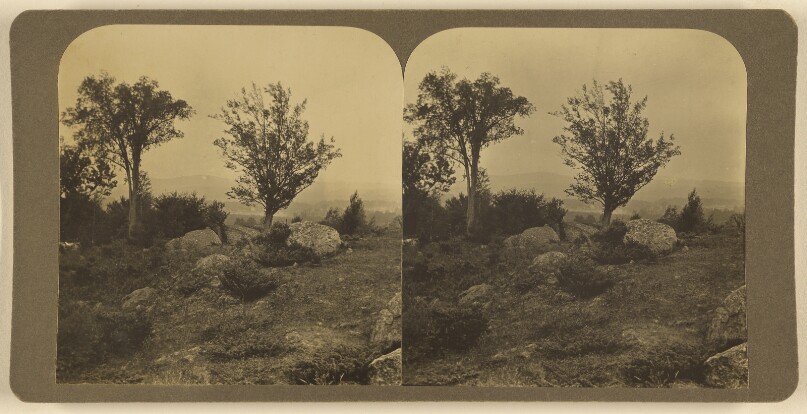 [Newcastle, Mass.]