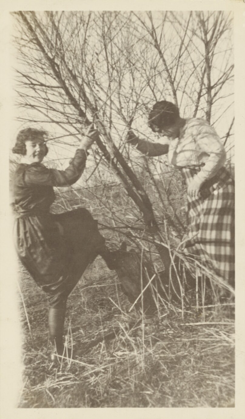 [Two young women climbing a tree]