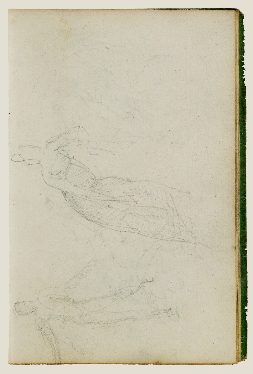 Figure studies