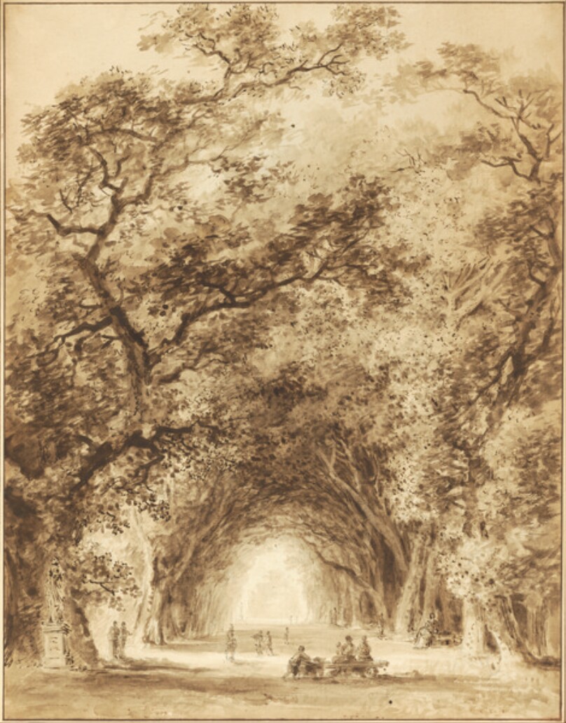 A Shaded Avenue