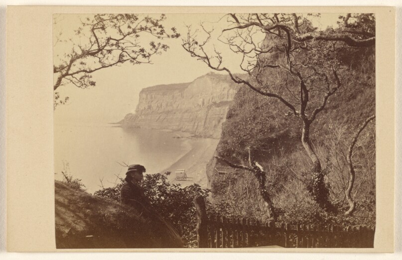 Shanklin Beach & Cliffs
