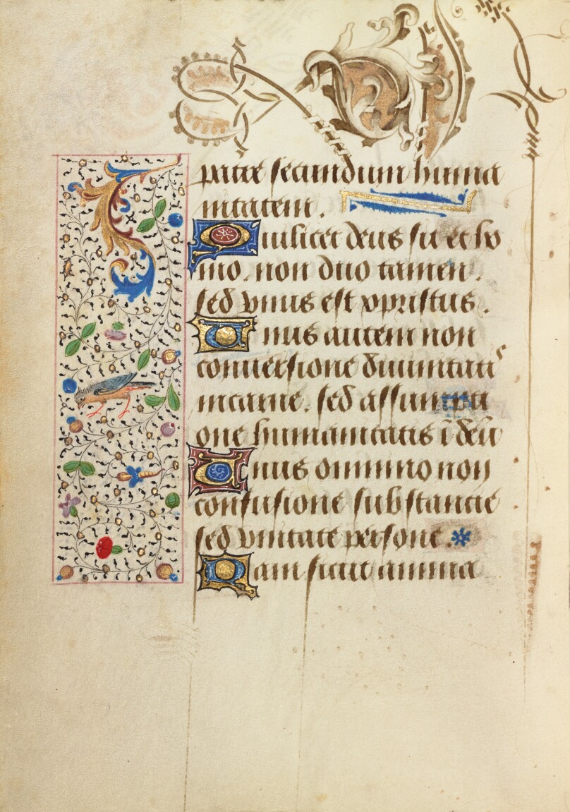 Decorated Text Page